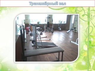 Оздоровительный лагерь Чайка