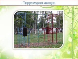 Оздоровительный лагерь Чайка