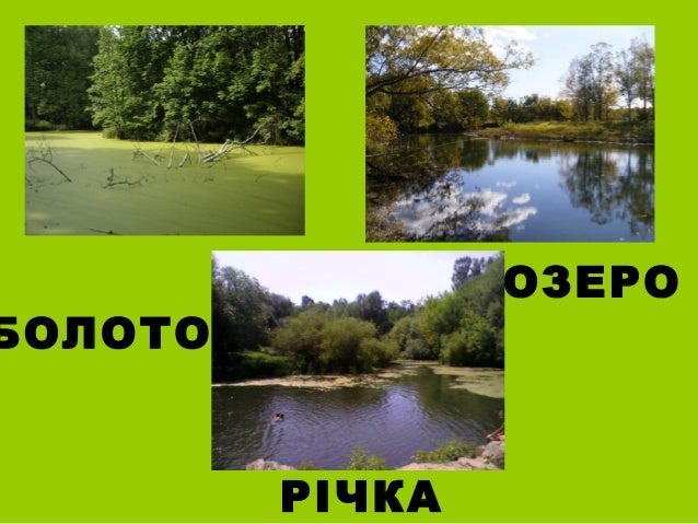 Українське Полісся в різні пори року