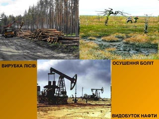 ВИРУБКА ЛІСІВ
ОСУШЕННЯ БОЛІТ
ВИДОБУТОК НАФТИ
 