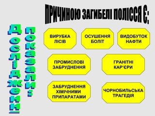 ВИРУБКА
ЛІСІВ
ОСУШЕННЯ
БОЛІТ
ВИДОБУТОК
НАФТИ
ПРОМИСЛОВІ
ЗАБРУДНЕННЯ
ГРАНІТНІ
КАР’ЄРИ
ЗАБРУДНЕННЯ
ХІМІЧНИМИ
ПРИПАРАТАМИ
ЧОРНОБИЛЬСЬКА
ТРАГЕДІЯ
 