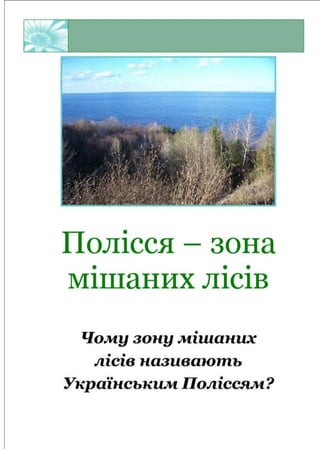 Українське Полісся – зона  мішаних лісів