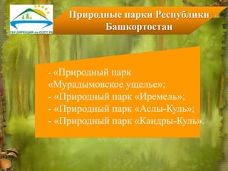 Природные парки Республики
Башкортостан
- «Природный парк
«Мурадымовское ущелье»;
- «Природный парк «Иремель»;
- «Природный парк «Аслы-Куль»;
- «Природный парк «Кандры-Куль».
 