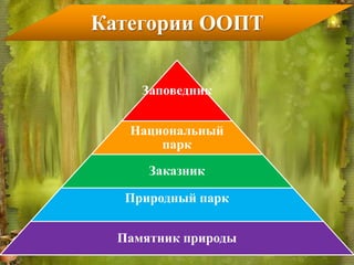 Заповедник
Национальный
парк
Заказник
Природный парк
Памятник природы
Категории ООПТ
 