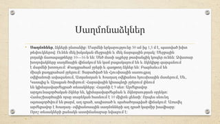 Սաղմոնաձկներ
• Սաղմոններ, ձկների ընտանիք։ Մարմնի երկարությունը 50 սմ-ից 1,5 մ է, պատված խիտ
թեփուկներով։ Ունեն մեկ իսկական...