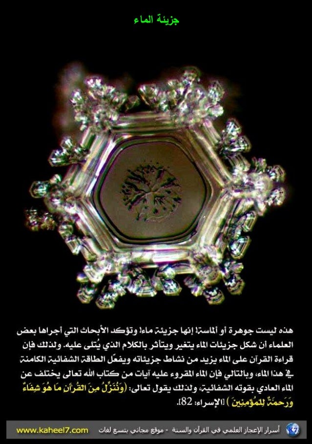 الإعجاز في القرآن الكريم والسُنَّة النبوية(1) -43-638