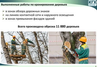 4
 в зонах обзора дорожных знаков
 на линиях контактной сети и наружного освещения
 в зонах примыкания фасадов зданий
Всего произведена обрезка 11 880 деревьев
Выполненные работы по кронированию деревьев
 