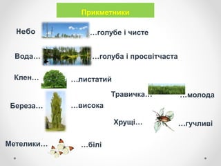 Прикметники
…голуба і просвітчаста
…голубе і чисте
Вода…
Клен… …листатий
…високаБереза…
Метелики… …білі
Травичка… …молода
Хрущі… …гучливі
 