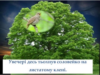 Увечері десь тьохнув соловейко на
листатому клені.
 