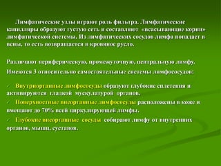 Лимфатические узлы играют роль фильтра. Лимфатические
капилляры образуют густую сеть и составляют «всасывающие корни»
лимфатической системы. Из лимфатических сосудов лимфа попадает в
вены, то есть возвращается в кровяное русло.
Различают периферическую, промежуточную, центральную лимфу.
Имеются 3 относительно самостоятельные системы лимфососудов:
 Внутриорганные лимфососуды образуют глубокие сплетения и
активируются гладкой мускулатурой органов.
 Поверхностные внеорганные лимфососуды расположены в коже и
вмещают до 70% всей циркулирующей лимфы.
 Глубокие внеорганные сосуды собирают лимфу от внутренних
органов, мышц, суставов.
 
