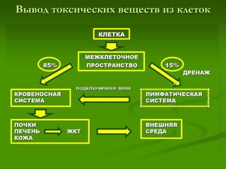 Вывод токсических веществ из клеток
 