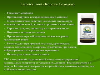 Licorice root (Корень Солодки)
 Усиливает лимфоток
 Противовирусное и жаропонижающее действие
 Спазмолитическое действие на гладкую мускулатуру
мочевыводящих путей, желчных протоков и кишечника
 Укрепляет сосуды, нормализуя их проницаемость
 Подавляет активность глистов
 Применяется при заболеваниях легких и верхних
дыхательных путей
 Рекомендуют при красной волчанке, хронических
кожных заболеваниях, аллергиях, пузырчатке, при экземе,
нейродермитах и аллергических дерматитах
 Используют при патологии почек
ATC - это древний традиционный метод концентрирования
растительных экстрактов и усиления их действия. Благодаря этому в 1
капсуле Licorice root содержится в 4 раза больше активных веществ, чем
в обычном корне солодки.
 