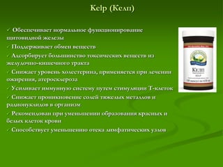 Kelp (Келп)
 Обеспечивает нормальное функционирование
щитовидной железы
 Поддерживает обмен веществ
 Адсорбирует большинство токсических веществ из
желудочно-кишечного тракта
 Снижает уровень холестерина, применяется при лечении
ожирения, атеросклероза
 Усиливает иммунную систему путем стимуляции Т-клеток
 Снижает проникновение солей тяжелых металлов и
радионуклидов в организм
 Рекомендован при уменьшении образования красных и
белых клеток крови
 Способствует уменьшению отека лимфатических узлов
 