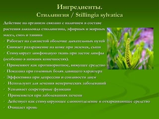 Ингредиенты.
Стиллингия / Stillingia sylvatica
Действие на организм связано с наличием в составе
растения алкалоида стиллингина, эфирных и жирных
масел, смол и танина
 Работает на слизистой оболочке дыхательных путей
 Снимает раздражение на коже при экземах, сыпи
 Стимулирует лимфоидную ткань при застое лимфы
(особенно в нижних конечностях).
 Применяют как противорвотное, вяжущее средство
 Показана при головных болях давящего характера
 Эффективна при депрессии и сонливости днем
 Используют для лечения венерических заболеваний
 Усиливает секреторные функции
 Применяется при заболеваниях печени
 Действует как стимулирующее слюноотделение и отхаркивающее средство
 Очищает кровь
 