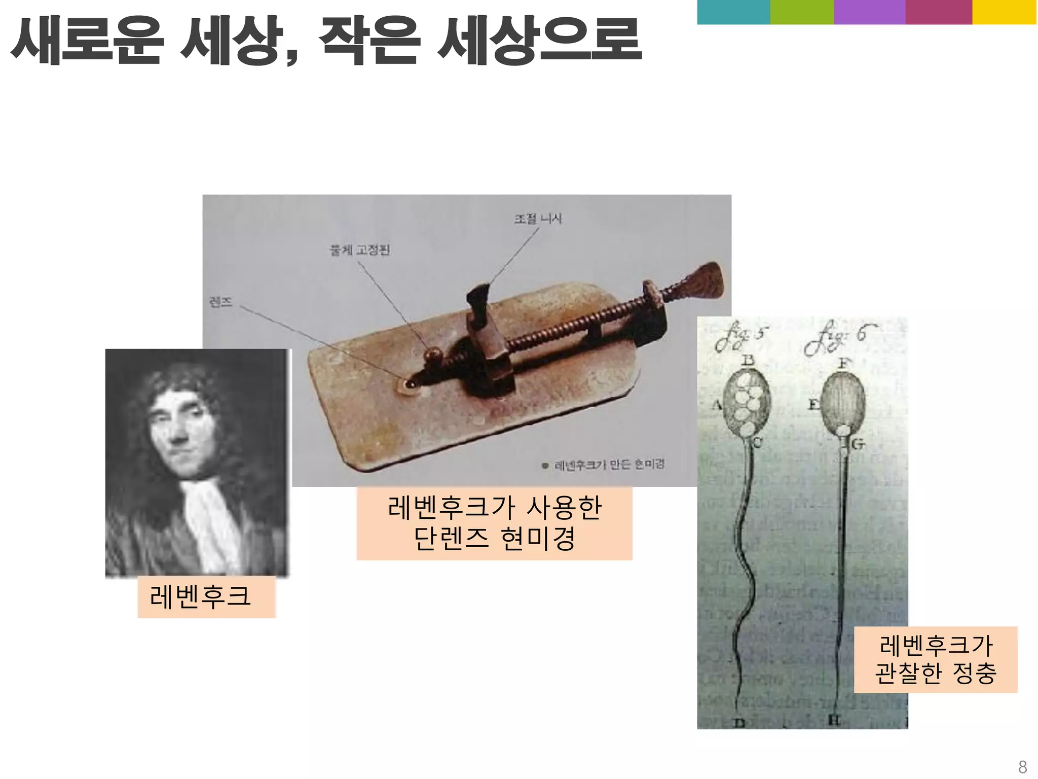 새로운 세상, 작은 세상으로
레벤후크가 사용한
단렌즈 현미경
레벤후크가
관찰한 정충
레벤후크
8
 