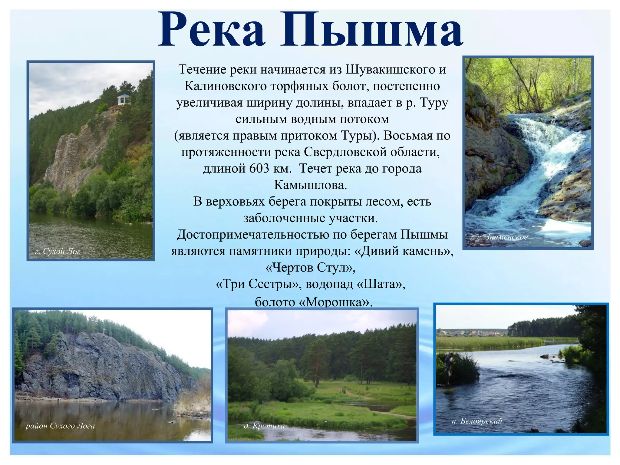 Река Пышма
Течение реки начинается из Шувакишского и
Калиновского торфяных болот, постепенно
увеличивая ширину долины, впадает в р. Туру
сильным водным потоком
(является правым притоком Туры). Восьмая по
протяженности река Свердловской области,
длиной 603 км. Течет река до города
Камышлова.
В верховьях берега покрыты лесом, есть
заболоченные участки.
Достопримечательностью по берегам Пышмы
являются памятники природы: «Дивий камень»,
«Чертов Стул»,
«Три Сестры», водопад «Шата»,
болото «Морошка».
г. Сухой Лог
с. Знаменское
район Сухого Лога д. Крутиха
п. Белоярский
 