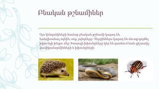 Բնական թշնամիներ
Այս կենդանիների համար բնական թշնամի կարող են
հանդիսանալ ոզնին, օձը, բզեզները։ Վերջիններս կարող են մուտք գործել
խխունջի խեցու մեջ։ Խաղողի խխունջները կեր են դառնում նաև գիշատիչ
փափկամարմինների և խխունջների։
 
