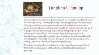 Ոտքերը և իրանը
Հասուն խխունջի ոտքերը սովորաբար 3,5-5 սմ են, երբեմն չափերը կարող
են հասնել 8-9 սմ-ի։ Խաղողի խխունջի մարմինը բավականին էլաստիկ է։
Տարբեր պատճառներով պայմանավորված մարմնի գունավորումն ի
տարբերություն խեցու, էականորեն տարբեր է։ Սովորաբար այն բեժ գույն
է՝ շագանակագույն երանգով, ավելի հազվադեպ կարող է լինել մուգ
մոխրագույն։ Այն ունի յուրահատուկ նախշեր։ Որոշ դեպքերում
խխունջները զրկված են այդպիսի նախշերից կամ դա գրեթե աննկատ է։
Այդ դեպքերում խխունջի ոտքերը միագույն են։ Մարմնի գույնը կարող է
փոխվել միևնույն տեսակի սննդի օգտագործումից։
Մարմինը պատված է խորշոմներով, որոնք նման են քառանկյունների։
Խորշոմներում պահվում է կենդանուն անհրաժեշտ խոնավության
քանակը։
 