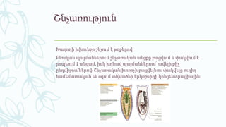 Շնչառություն
Խաղողի խխունջը շնչում է թոքերով։
Բնական պայմաններում շնչառական անցքը բացվում և փակվում է
րոպեում 1 անգամ, իսկ խոնավ պայմաններում՝ ավելի քիչ
ընդմիջումներով։ Շնչառական խոռոչի բացվելն ու փակվելը ուղիղ
համեմատական են օդում ածխածնի երկօքսիդի կոնցենտրացիային։
 