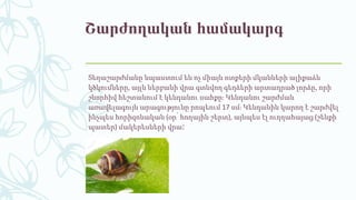 Շարժողական համակարգ
Տեղաշարժմանը նպաստում են ոչ միայն ոտքերի մկանների ալիքաձև
կծկումները, այլև ներբանի վրա գտնվող գեղձերի արտադրած լորձը, որի
շնորհիվ հեշտանում է կենդանու սահքը։ Կենդանու շարժման
առավելագույն արագությունը րոպեում 17 սմ։ Կենդանին կարող է շարժվել
ինչպես հորիզոնական (օր՝ հողային շերտ), այնպես էլ ուղղահայաց (շենքի
պատեր) մակերեսների վրա։
 