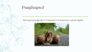 Բազմացում
Խխունջը հերմաֆրոդիտ է։ Բազմանում են գարնանը և աշնան սկզբին։
 