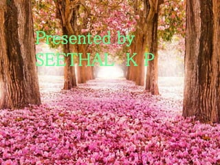 Presented by
SEETHAL K P
 