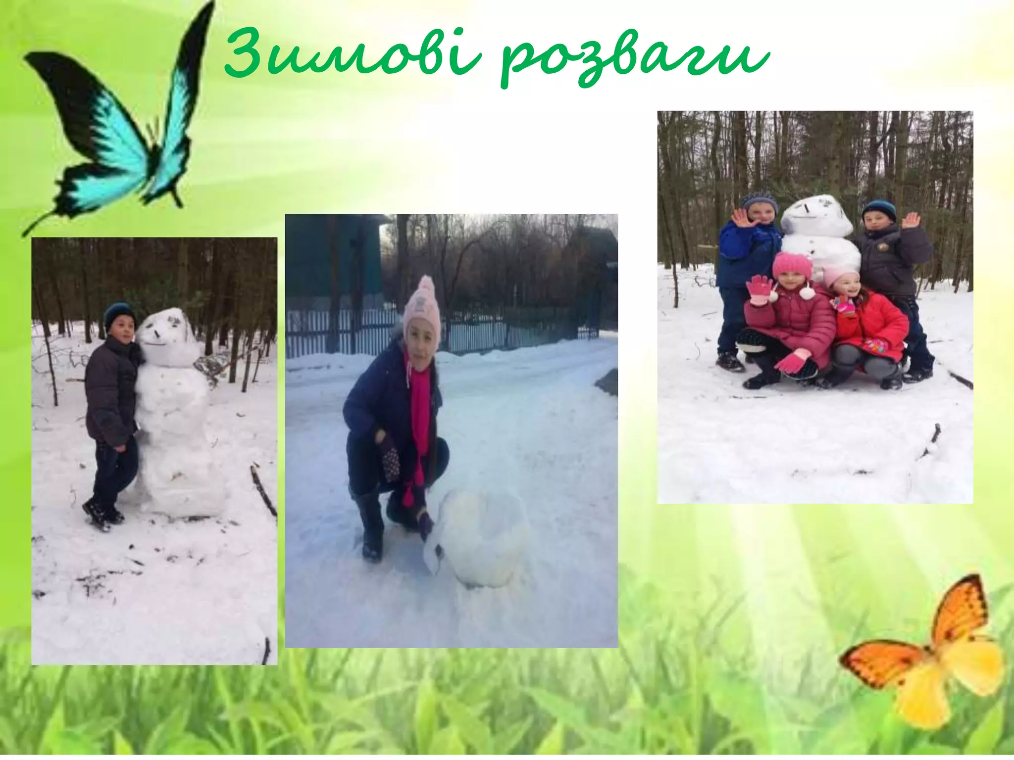 Зимові розваги
 