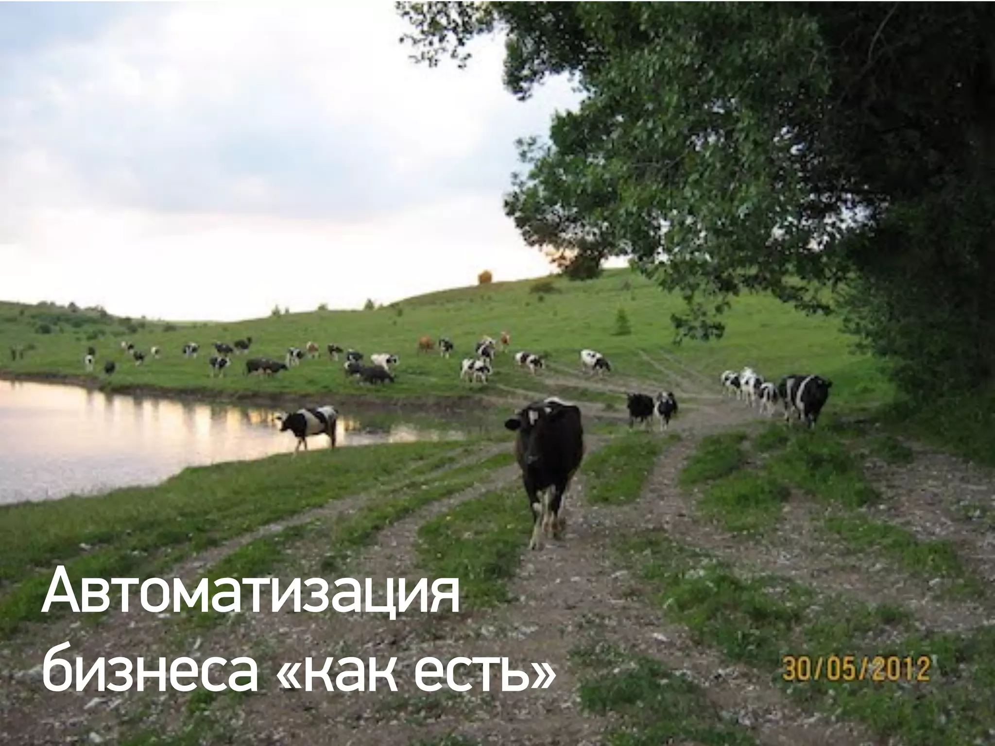 Автоматизация
бизнеса «как есть»
 