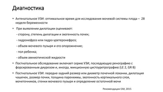 Диагностика
• Антенатальное УЗИ: оптимальное время для исследования мочевой системы плода – 28
неделя беременности
• При выявлении дилатации оценивают:
- сторону, степень дилатации и эхогенность почек;
- гидронефроз или гидро-уретеронефроз;
- объем мочевого пузыря и его опорожнение;
- пол ребенка;
- объем амниотической жидкости
• Постнатальное обследование включает серию УЗИ, последующую ренографию с
форсированным диурезом и, иногда, микционную цистоуретрографию (LE 2, GR B)
• Постнатальное УЗИ: передне-задний размер или диаметр почечной лоханки, дилатация
чашечек, размер почки, толщина паренхимы, эхогенность кортикального слоя,
мочеточников, стенки мочевого пузыря и определение остаточной мочи
Рекомендации ЕАУ, 2015
 