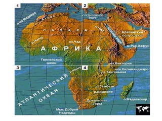Жуль Верн   біографія