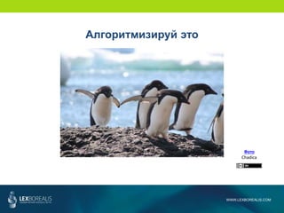 WWW.LEXBOREALIS.COM
Алгоритмизируй это
Фото
Chadica
 