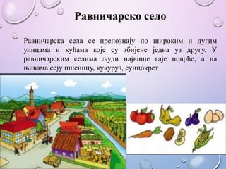 Равничарско село
Равничарска села се препознају по широким и дугим
улицама и кућама које су збијене једна уз другу. У
равничарским селима људи највише гаје поврће, а на
њивама сеју пшеницу, кукуруз, сунцокрет
 