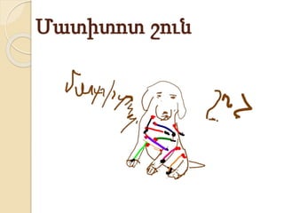 Մատիտոտ շուն
 