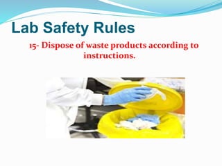 Lab Safety Rules
15- Dispose of waste products according to
instructions.
 