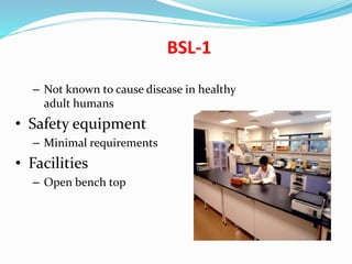 BSL-1
– Not known to cause disease in healthy
adult humans
• Safety equipment
– Minimal requirements
• Facilities
– Open bench top
 