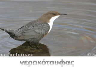 Νερό...και κάτι άλλο