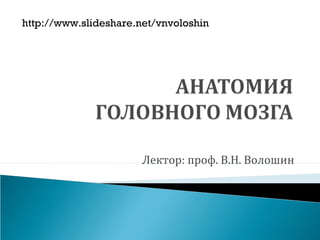 Лектор: проф. В.Н. Волошин
http://www.slideshare.net/vnvoloshin
 
