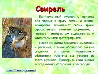 Сайты С Личными Фотографиями — Картинки фотографии
