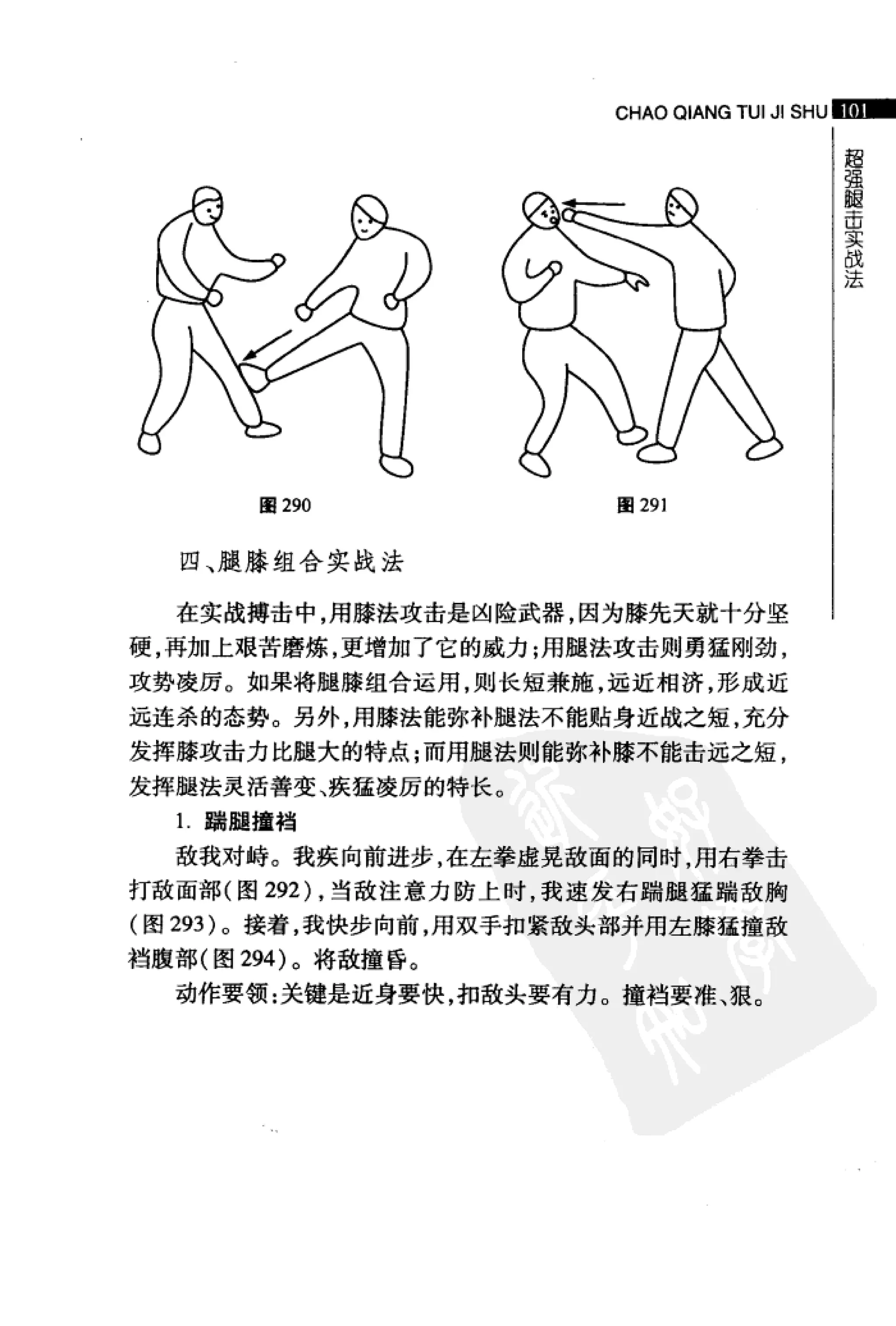 [超强腿击术].马中碧