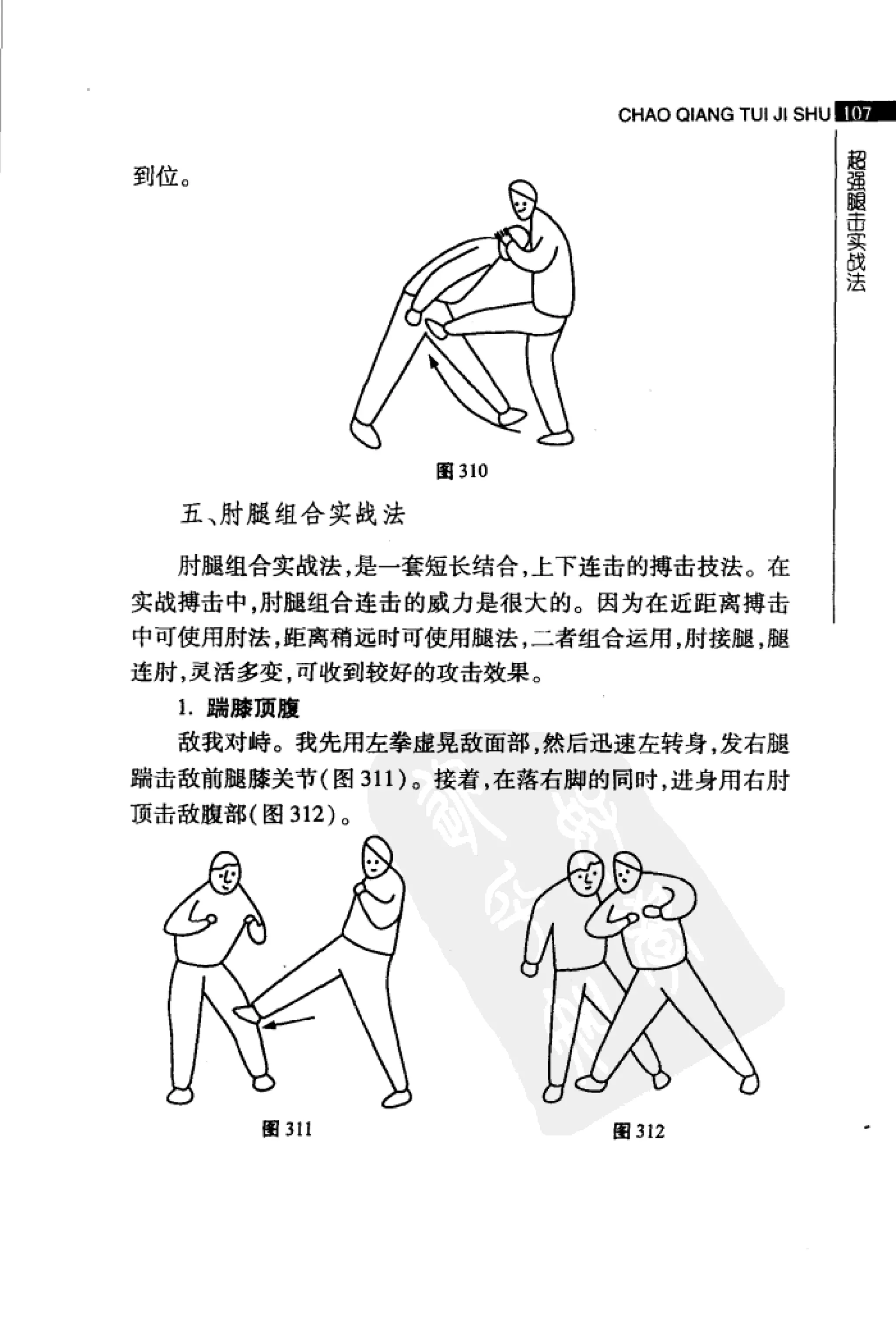 [超强腿击术].马中碧