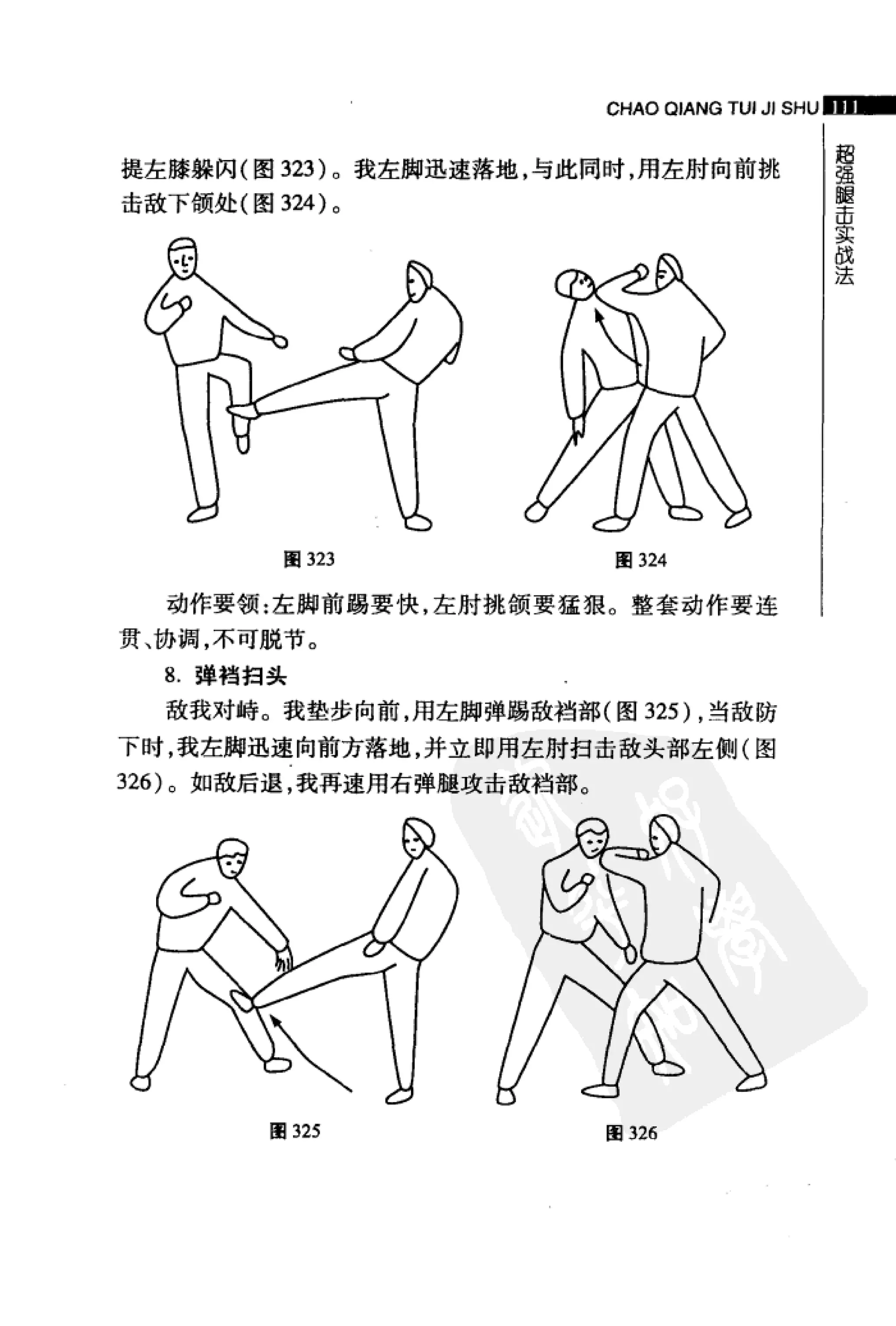 [超强腿击术].马中碧