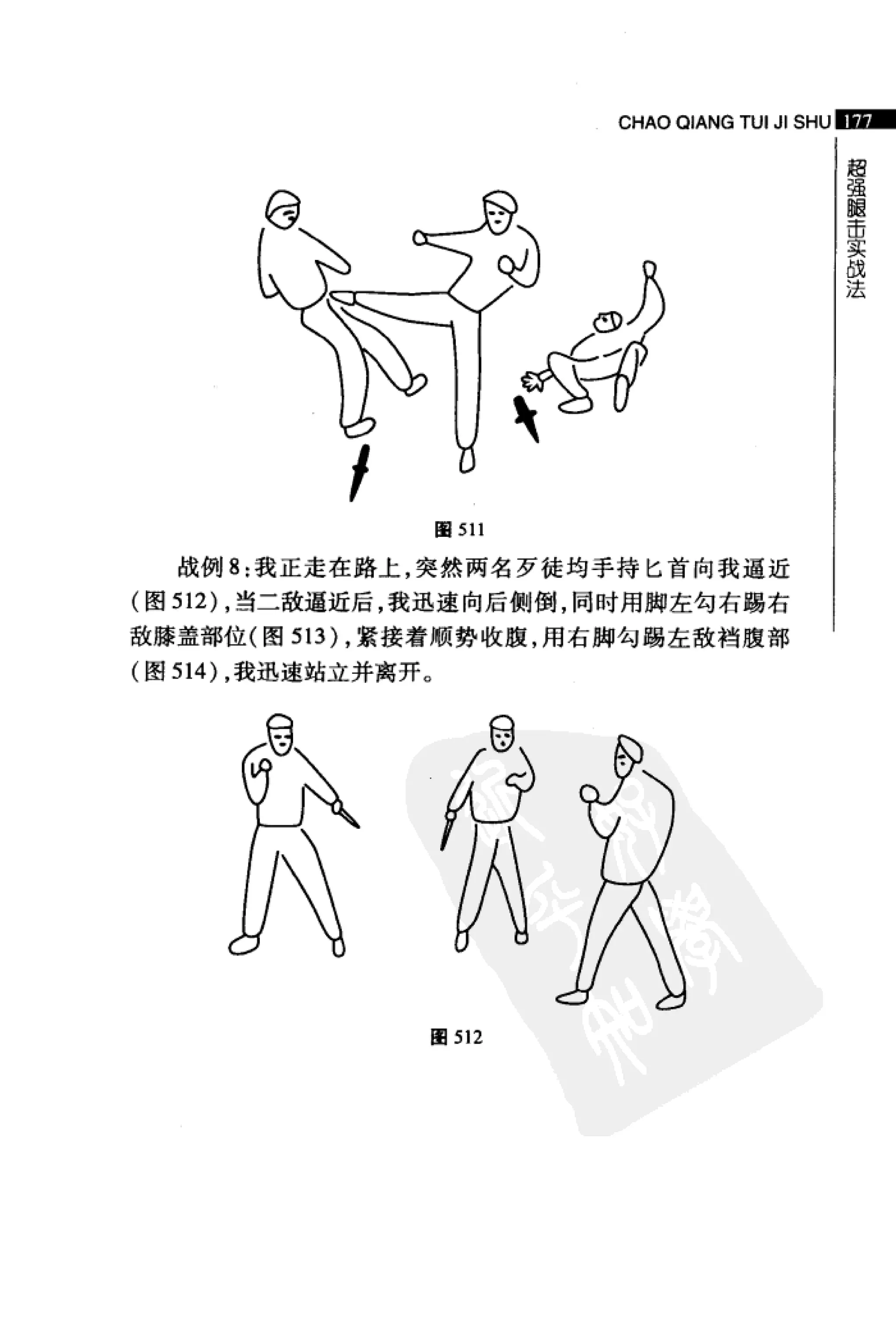 [超强腿击术].马中碧