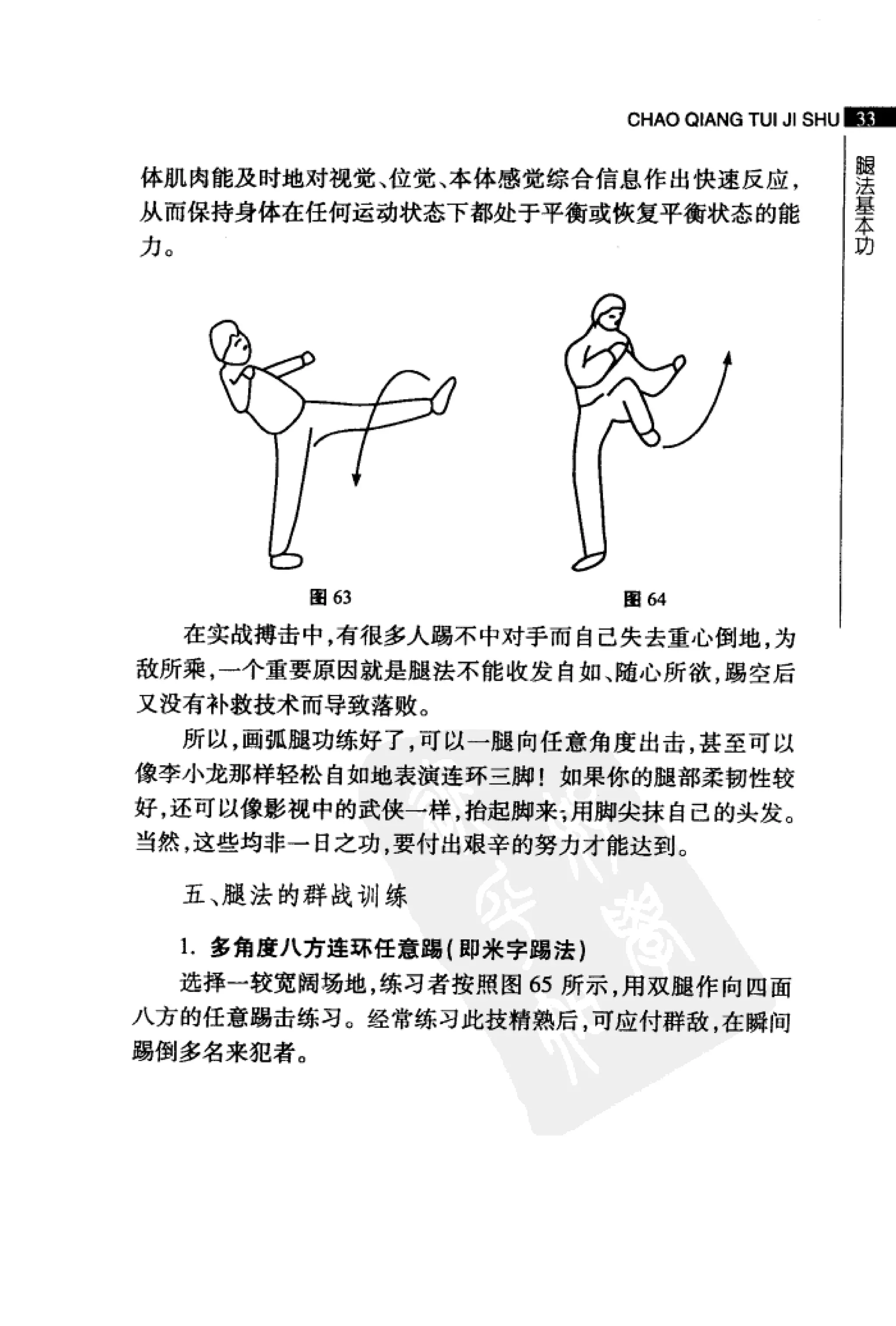 [超强腿击术].马中碧