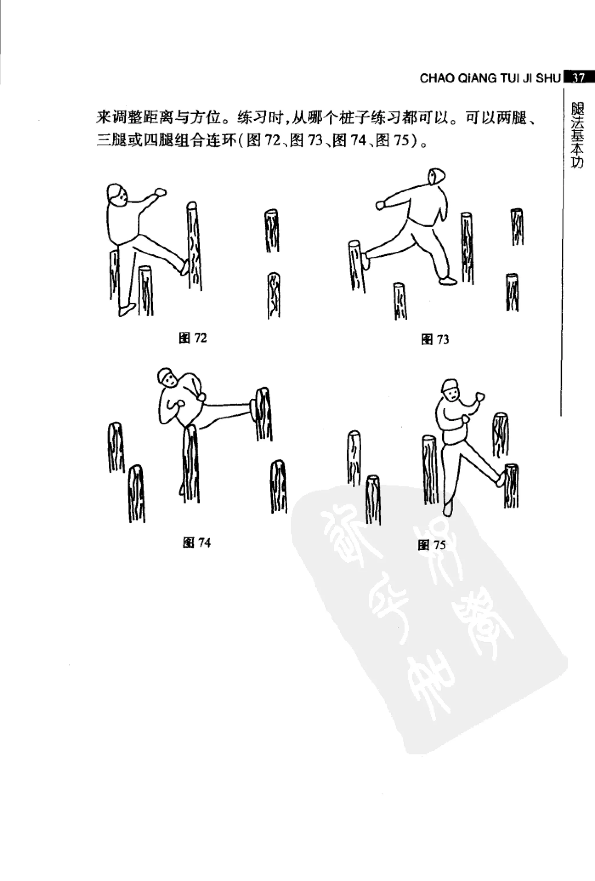 [超强腿击术].马中碧