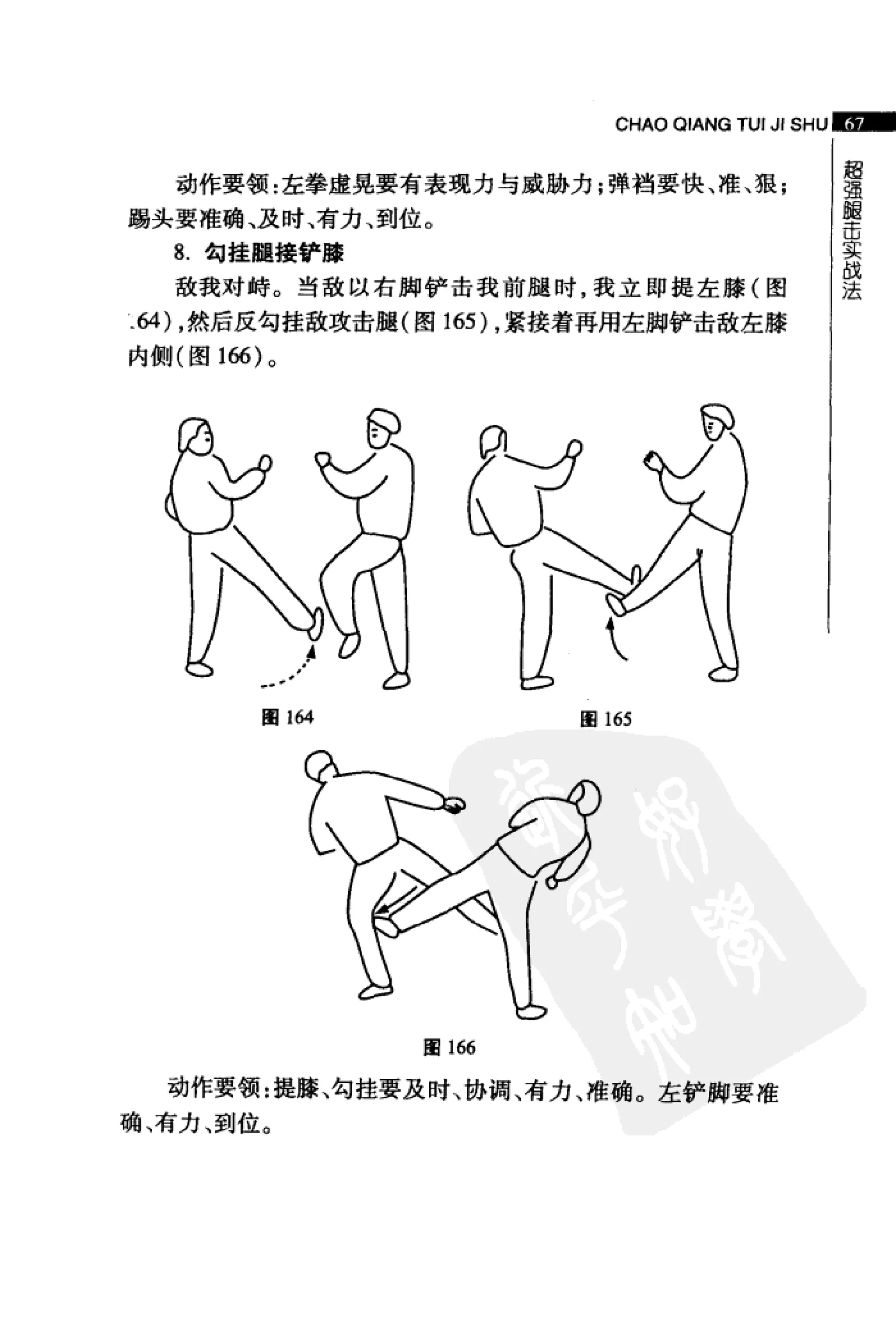 [超强腿击术].马中碧