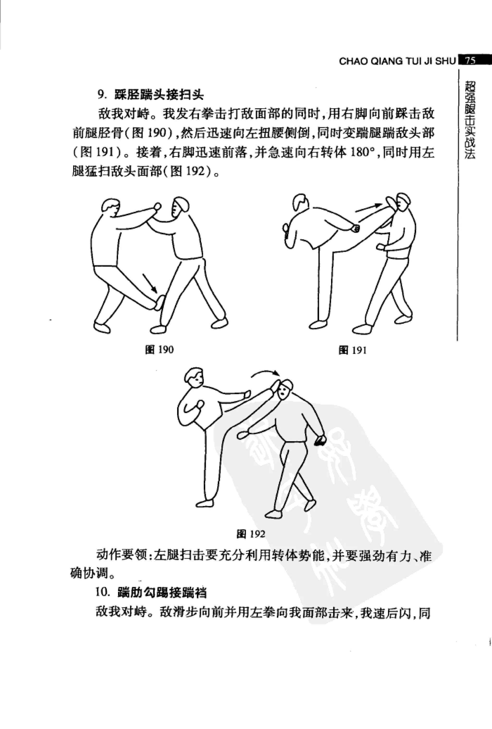 [超强腿击术].马中碧
