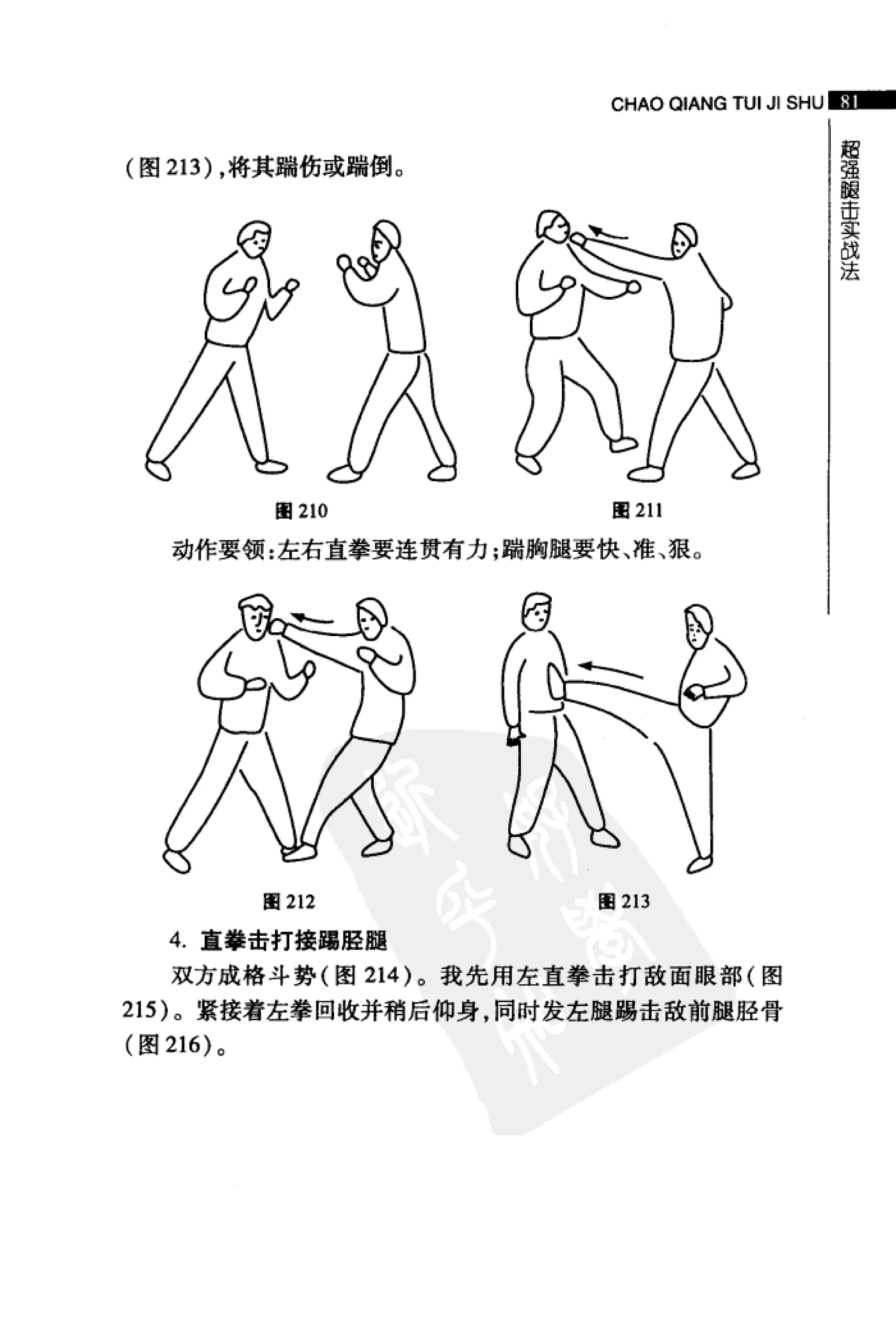 [超强腿击术].马中碧