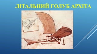 ЛІТАЛЬНИЙ ГОЛУБ АРХІТА
 
