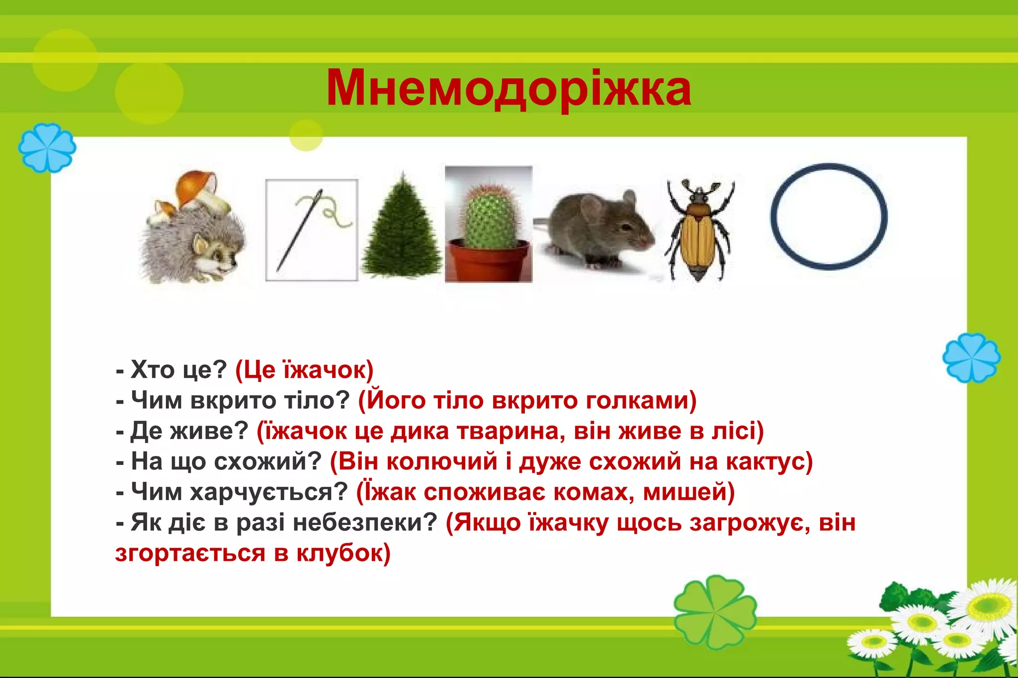 Мнемодоріжка
- Хто це? (Це їжачок)
- Чим вкрито тіло? (Його тіло вкрито голками)
- Де живе? (їжачок це дика тварина, він живе в лісі)
- На що схожий? (Він колючий і дуже схожий на кактус)
- Чим харчується? (Їжак споживає комах, мишей)
- Як діє в разі небезпеки? (Якщо їжачку щось загрожує, він
згортається в клубок)
 