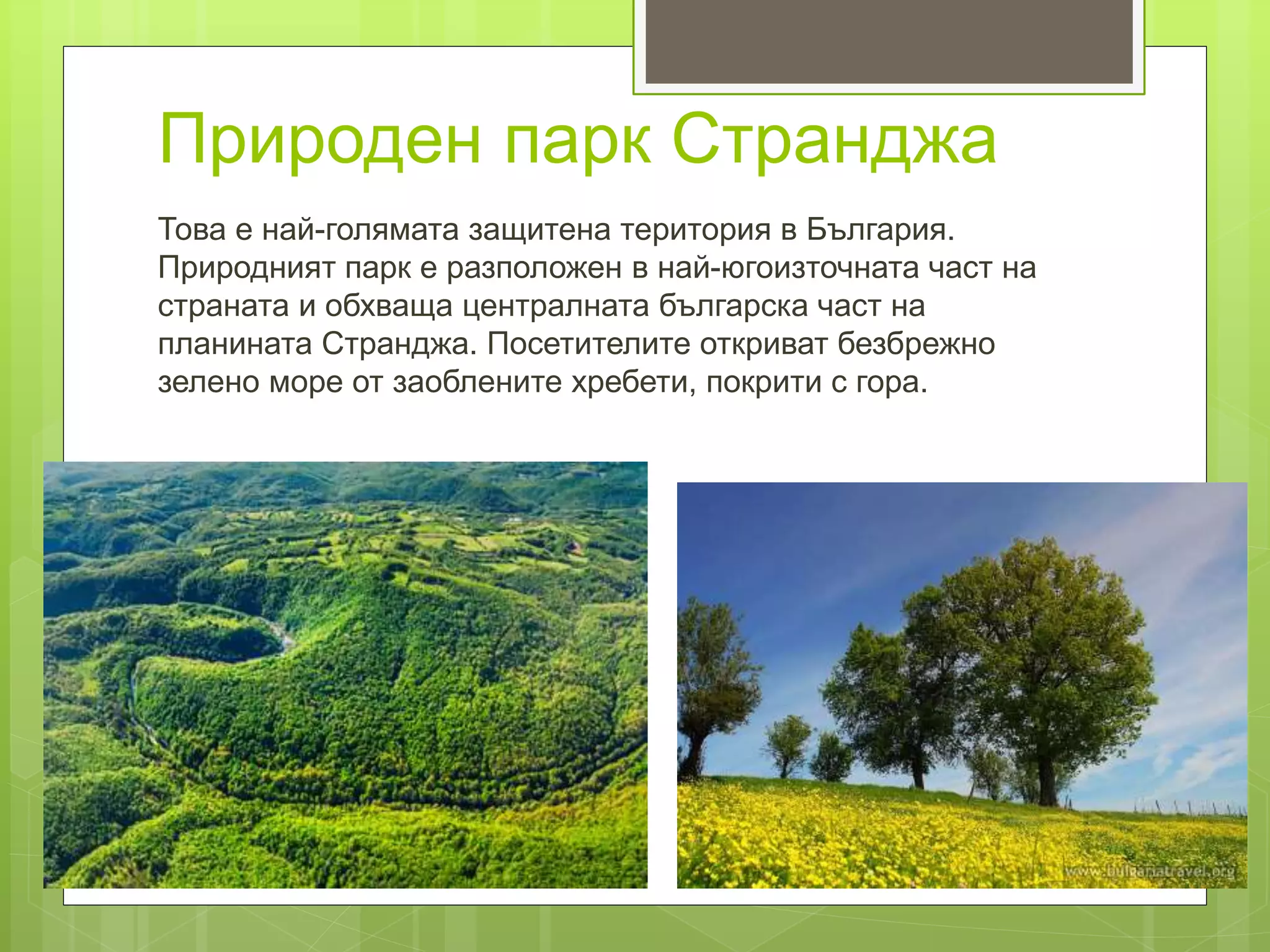 Природни паркове и резервати | PPT